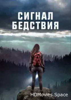 Сигнал бедствия (2022)