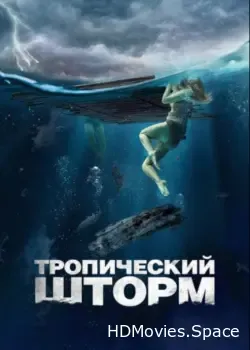 Тропический шторм (2022)