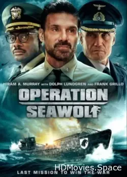 Операция «Морской волк» (2022)