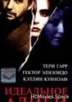Идеальное алиби (1995)