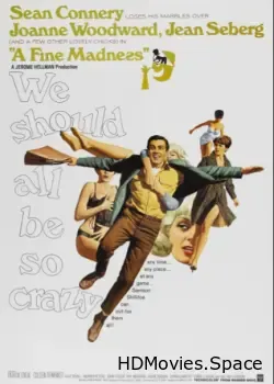 Прекрасное безумие (1966)