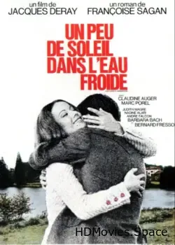 Немного солнца в холодной воде (1971)