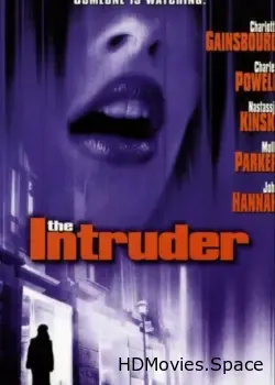 Нарушительница (1999)