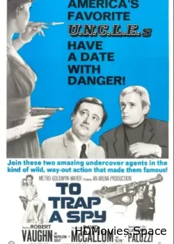 Поймать шпиона (1965)