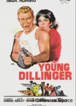 Молодой Диллинджер (1965)