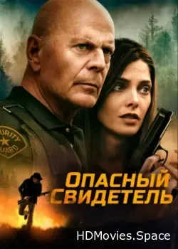 Опасный свидетель (2022)