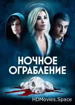 Ночное ограбление (2020)