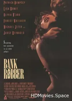 Грабитель банков (1993)