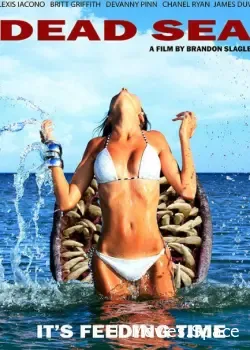 Мёртвое море (2014)