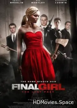 Последняя девушка (2015)