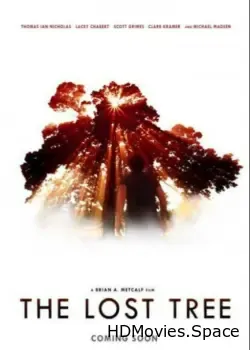 Потерянное дерево (2016)