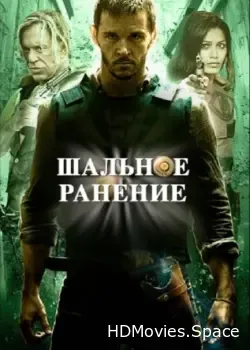 Шальное ранение (2015)