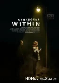 Незнакомцы в доме (2017)