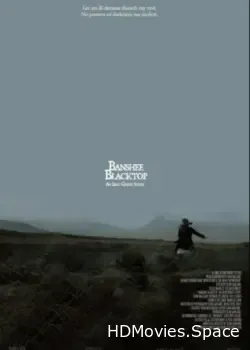 Баньши: история ирландских призраков (2016)