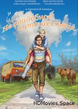 Не свадебное путешествие (2015)