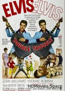 Двойные неприятности (1967)