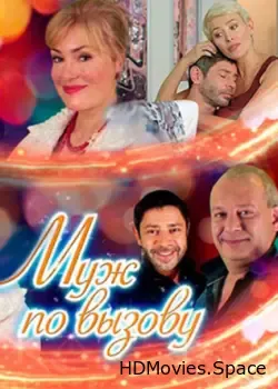 Муж по вызову (2015)