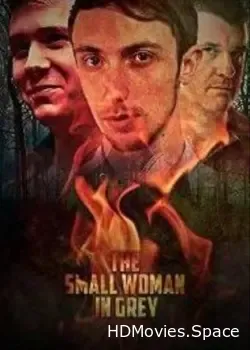 Маленькая женщина в сером (2017)
