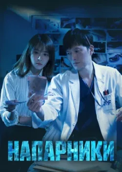 Напарники 2018