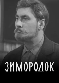 Зимородок (1972)