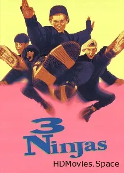 Три ниндзя (1992)