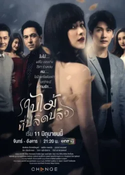 Опавший лист 2019 21 серия