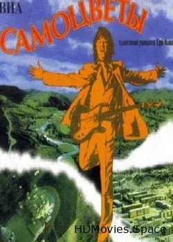 ВИА  (1973)