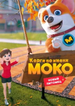 Корги по имени Моко. Новый питомец 2021