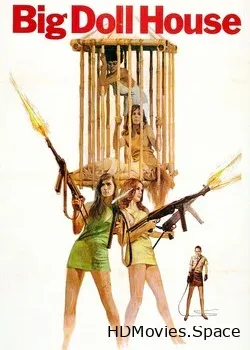 Дом большой куклы (1971)