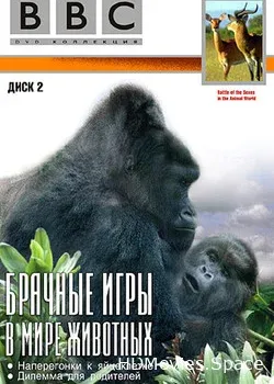 BBC: Брачные игры в мире животных (1999)