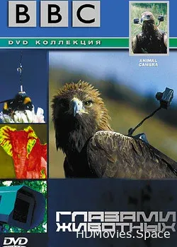 BBC: Глазами животных (2004)