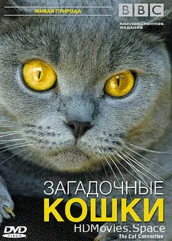 BBC: Загадочные кошки (2002)