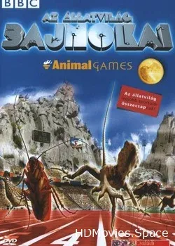BBC: Зоо олимпиада (2004)
