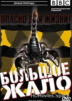 BBC: Большое жало (2005)