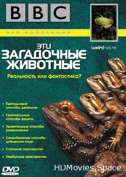 BBC: Эти загадочные животные (2002)