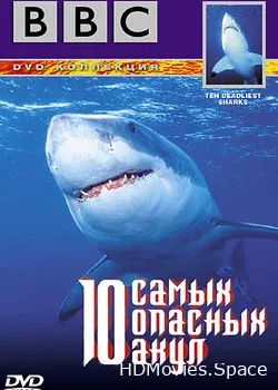 BBC: 10 самых опасных акул (2001)