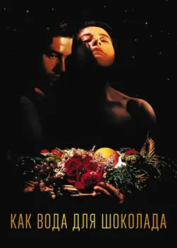 Как вода для шоколада (1992)