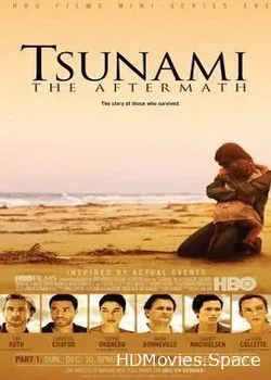 Цунами (2006)