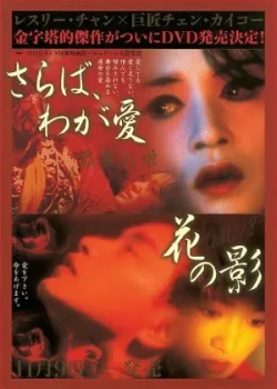 Прощай, моя наложница (1993)