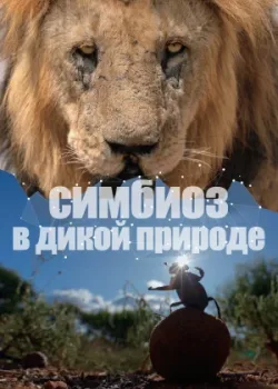 Симбиоз в дикой природе 2023 2 серия