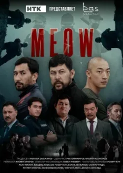 C for Meow 2023