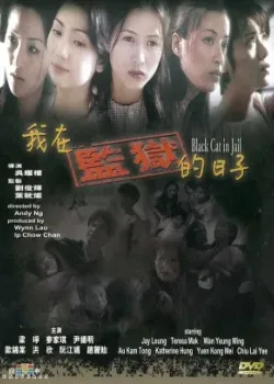 Чёрная кошка 3: В тюрьме