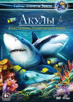 Акулы 3D: Властелины подводного мира 2013