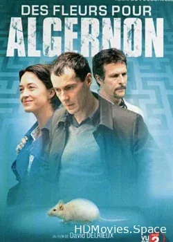 Цветы для Алджернона (2006)