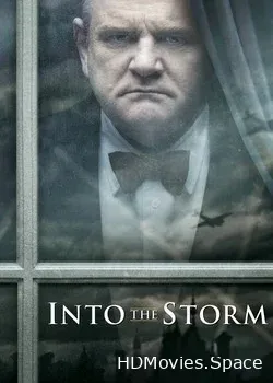Навстречу шторму (2009)