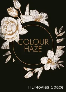 Colour Haze (2019)