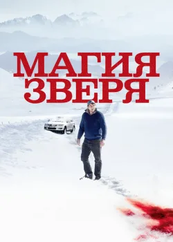 Магия зверя 2019