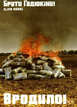 Брати Гадюкіни (2006)