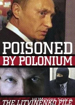 Бунт. Дело Литвиненко (2007)