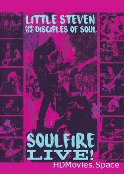 Little Steven and the Disciples of Soul (2017)